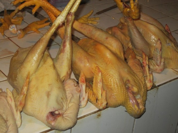 Ăn phải thịt chứa nhiều các loại thuốc tăng trọng phụ nữ có thể bị rụng tóc, mọc râu.